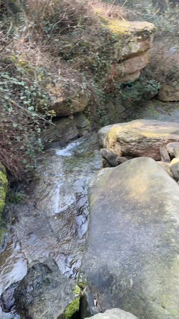 海绵宝宝寻珍宝
